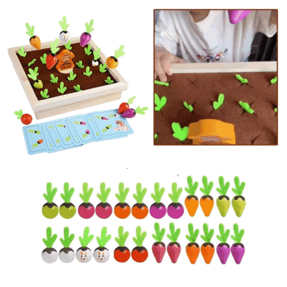 Hra CarrotFun Memory Game