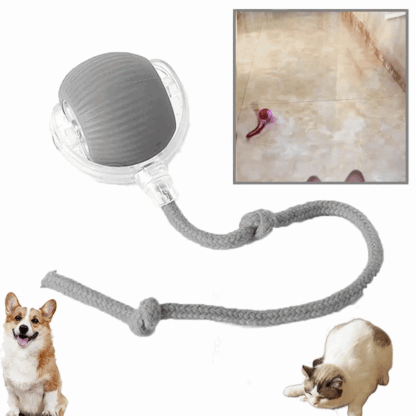 ChewiePlay lopta