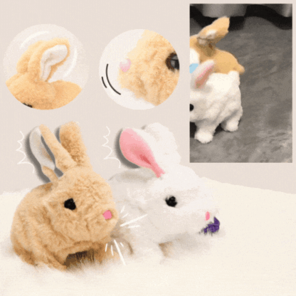 Interaktívna hračka BunnyBot